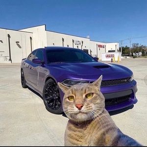 Meet your Posher, Alan